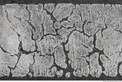 Photo Textures of Asphalt Painted